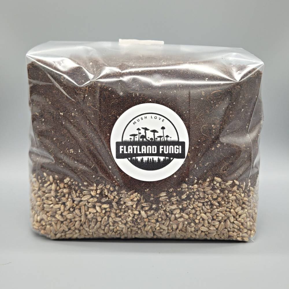 Myco-masters all in one grow bag cvg rye front