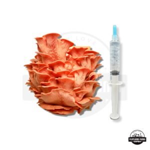 Pink Oyster Liquid Culture Syringe