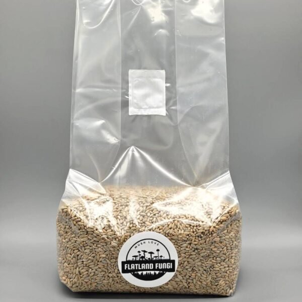 Rye mushroom grain spawn full bag