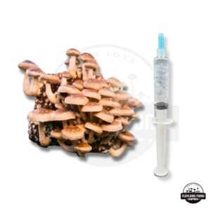 Shiitake Liquid Culture Syringe