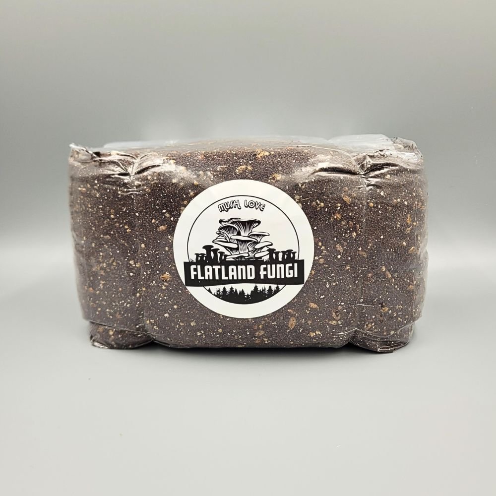 Shroom-Pro All In One mushroom grow bag - new recipe - Flatland Fungi
