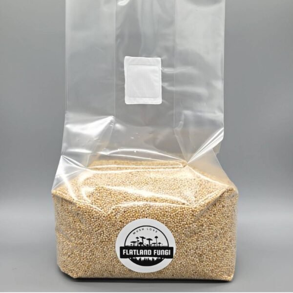 Sterilized millet grain spawn full bag