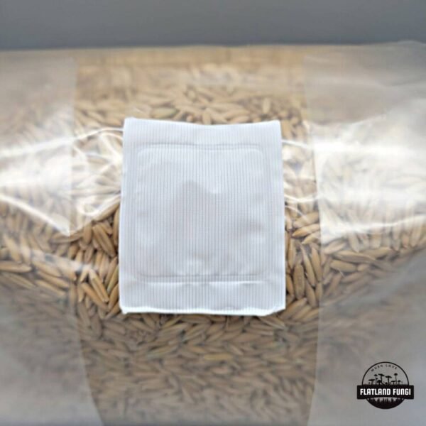 Sterilized oat mushroom grain spawn 3T filter patch