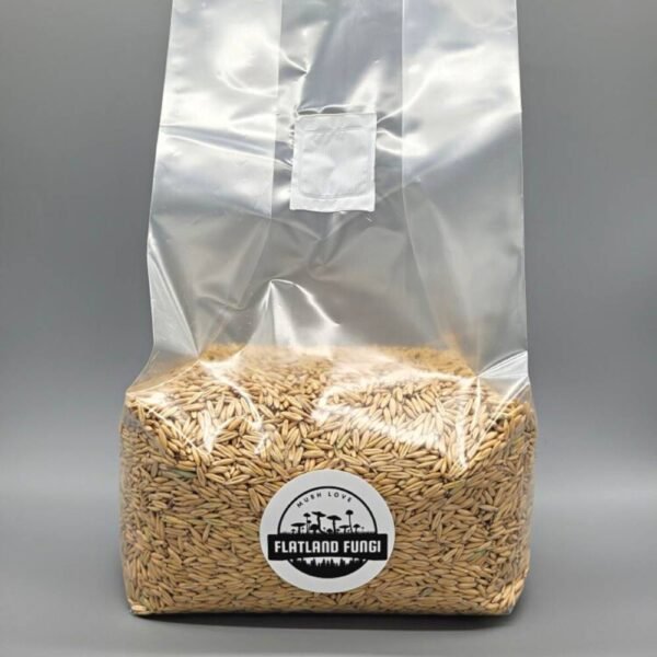 Sterilized oat mushroom grain spawn full bag