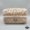 Pre-Sterilized Rye Mushroom Grain Spawn