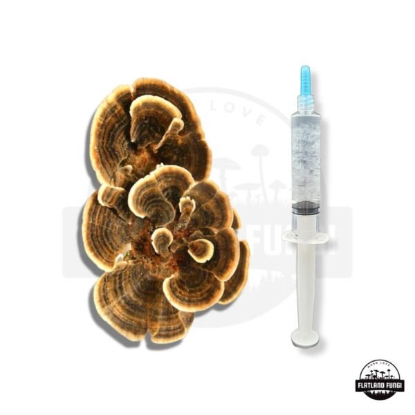 Turkey Tail Liquid Culture Syringe