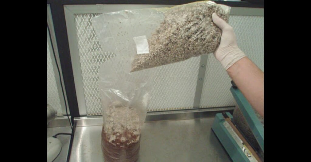 Mixing colonized spawn with hardwood substrate