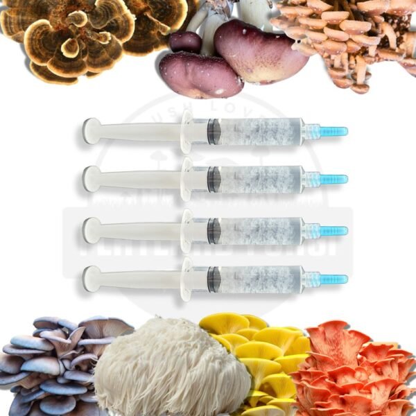 Gourmet mushroom Liquid culture syringe 4 pack deal - website