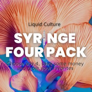 Liquid culture syringe 4 pack