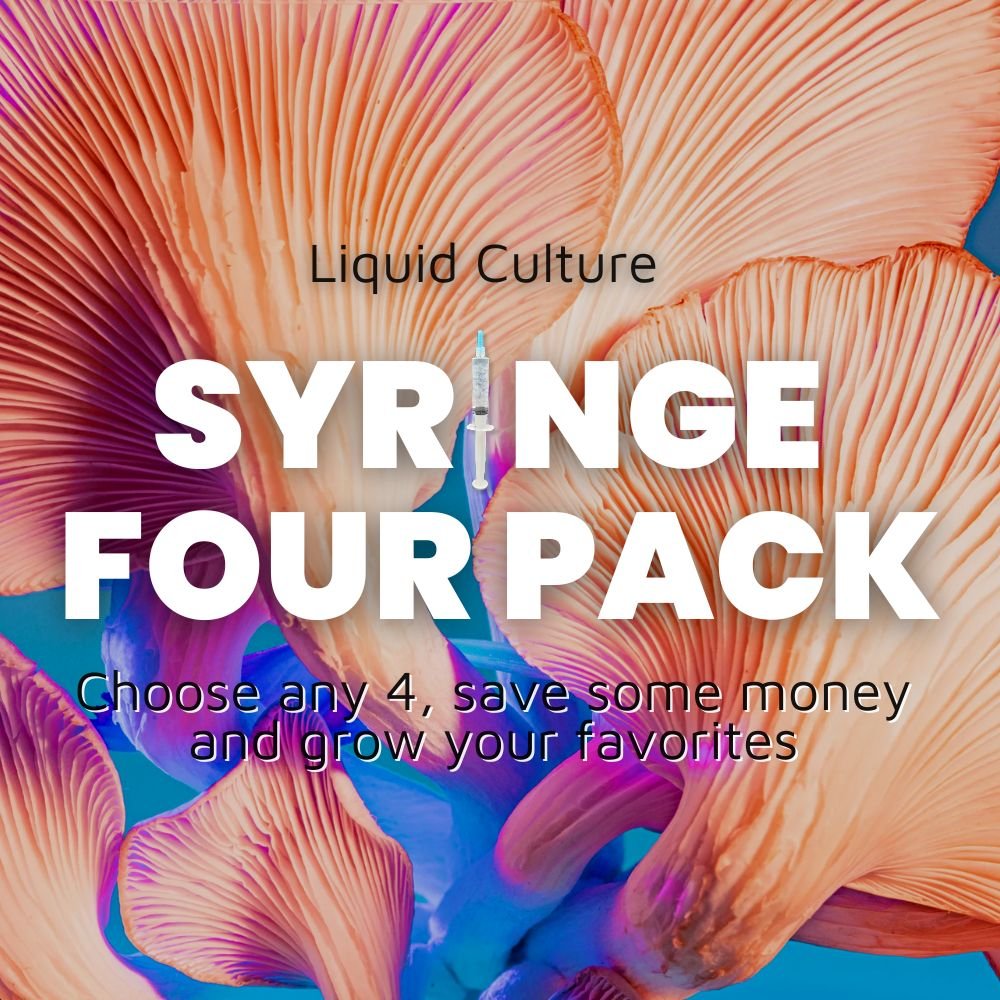 Liquid culture syringe 4 pack