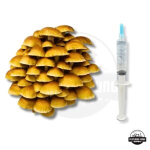 Chestnut Mushroom Liquid Culture Syringe