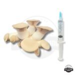Organic - King Oyster Mushroom Liquid Culture Syringe