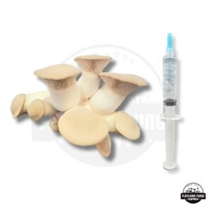 King Oyster Liquid Culture Syringe - website