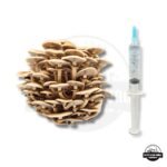 Organic - Pioppino Mushroom Liquid Culture Syringe