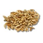 Bulk Organic Fall Rye Berry Grain for Mushroom Cultivation