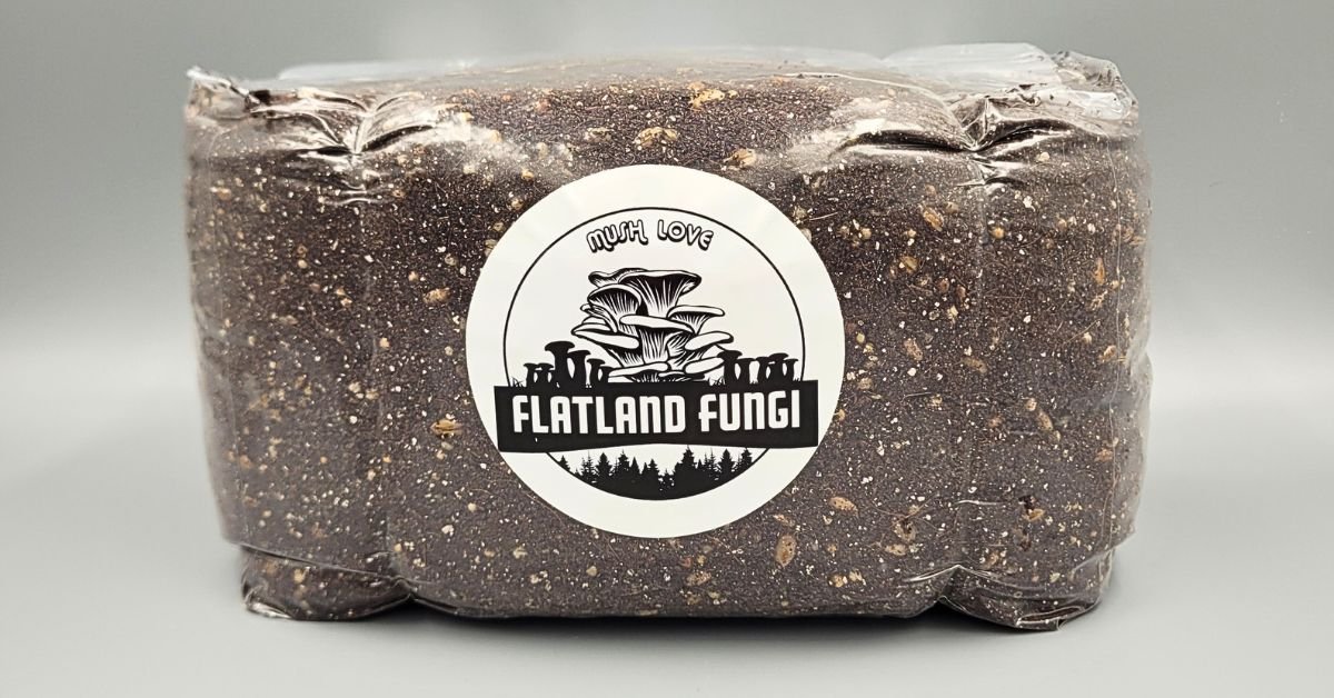All in one cvg mushroom grow bag - Flatland Fungi - blog