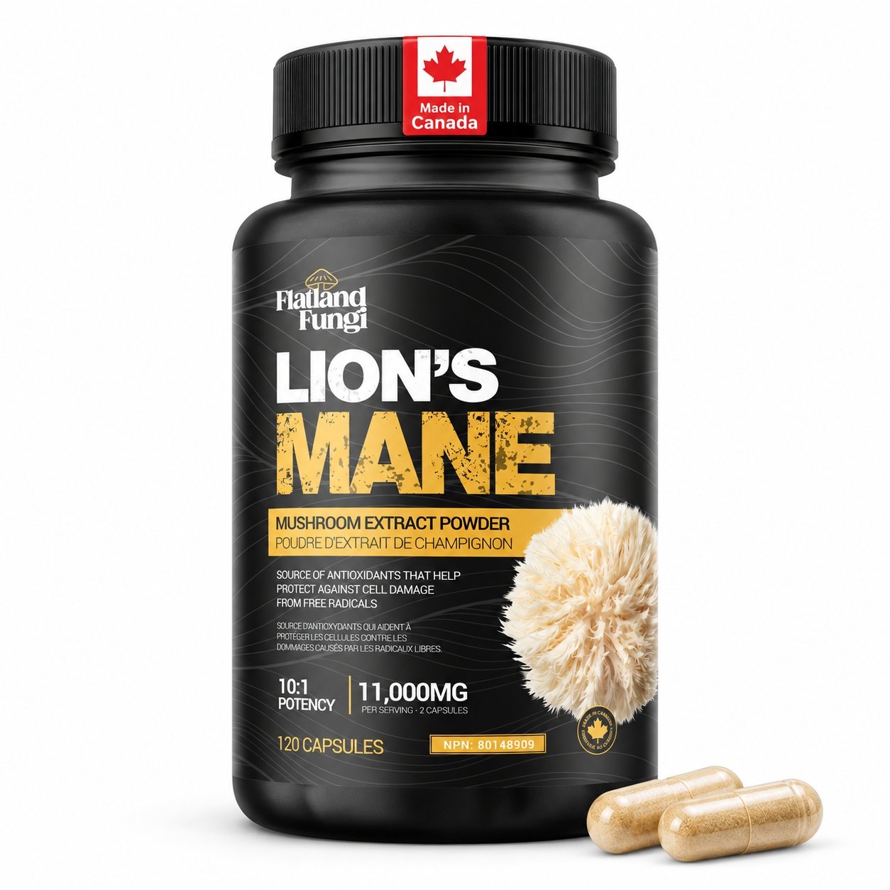 Flatland Fungi Lions Mane Capsules - New Main image